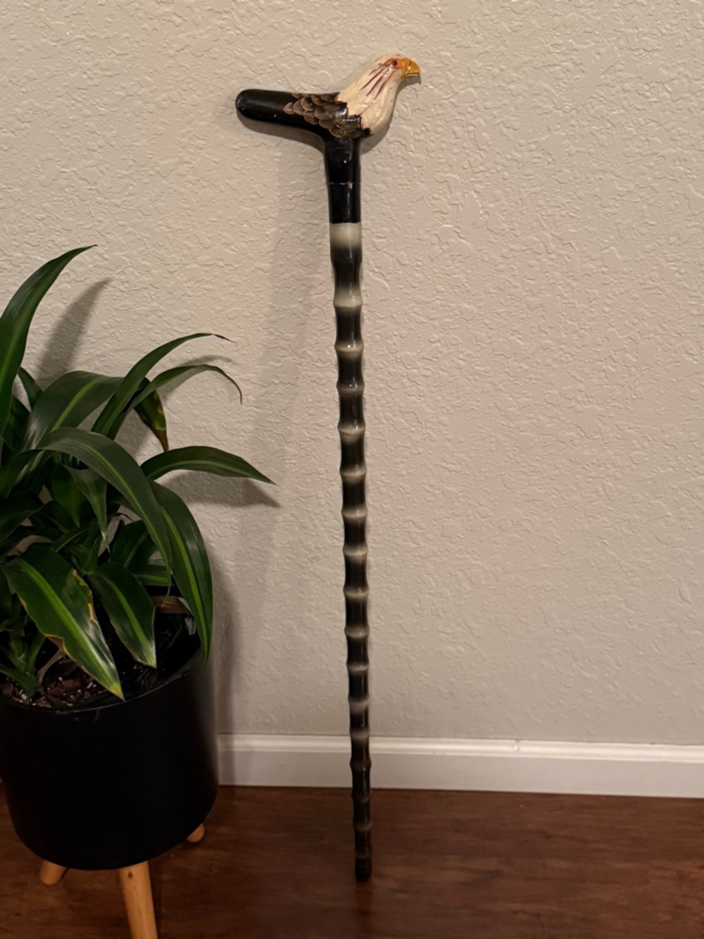 Eagle-Head Walking Cane in Black and Cream